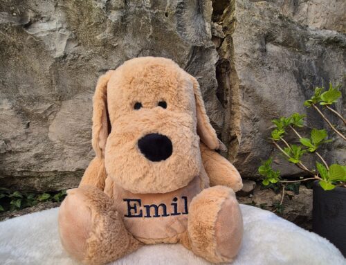 Kuschelhund für Emil 🐾