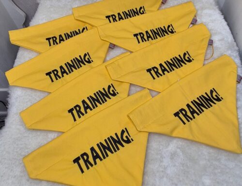Trainings-Bandanas für Fellnasen 🐾🐾🐕‍🦺