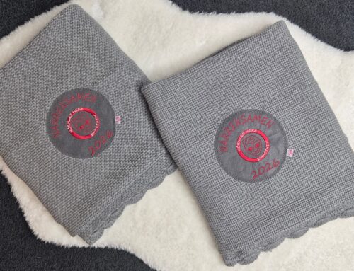 ✨🧵 Individuell angefertigte Sticker & Aufnäher für die Narrenzunft Simmozheim 🧵✨