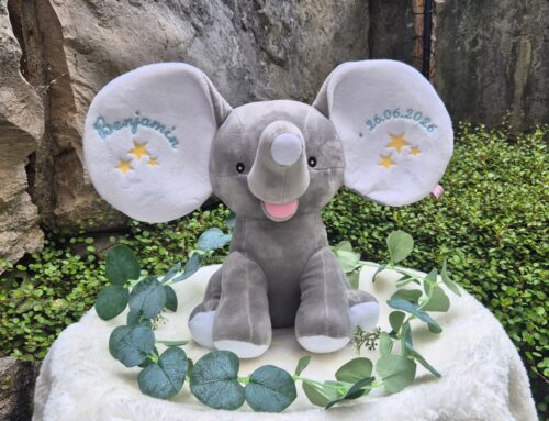 Ein Elefant mit ganz besonderen Ohren 🐘✨